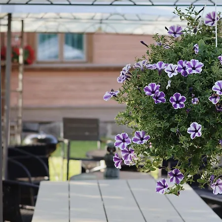 Marja Hostel Μικέλι