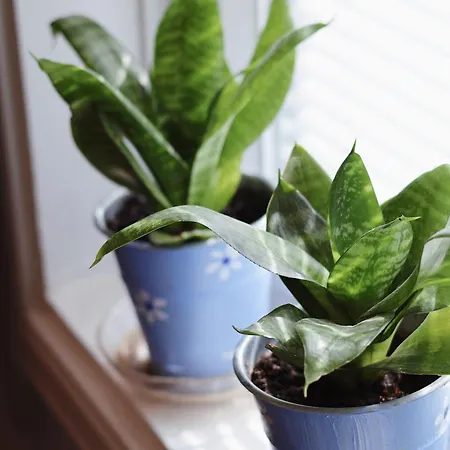 Marja Hostel Mikkeli