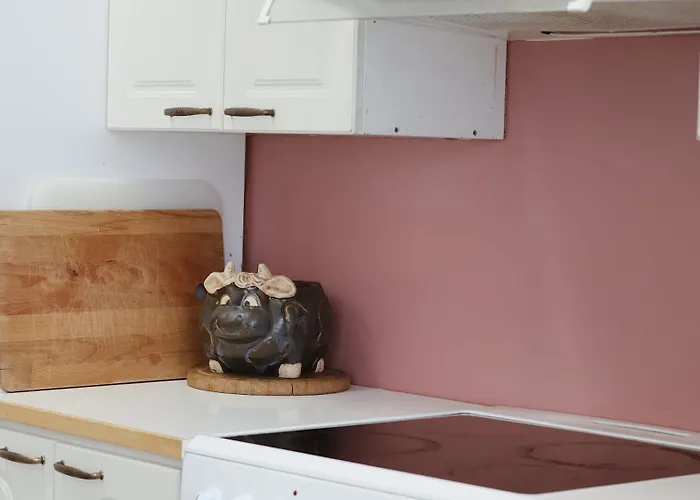 Marja 旅馆 米凯利