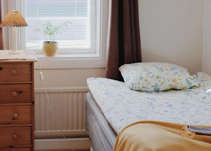 بيت شباب Marja