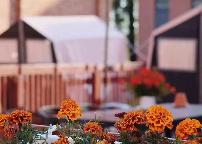 Marja 旅馆 米凯利